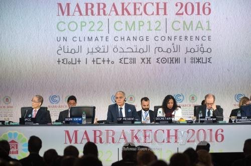 パリ協定を具体化させるCOP22 - ảnh 1