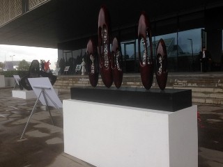 文化スポーツニュース - ảnh 2