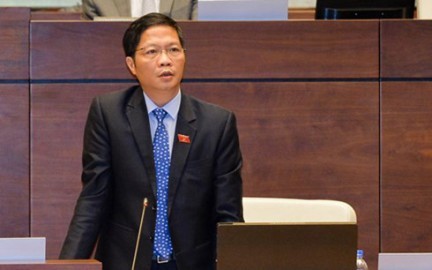 15日の国会、質疑応答開始 - ảnh 1