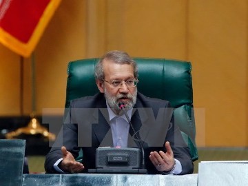 イランとロシアの国会議長が、関係拡大や地域の危機の終結を強調 - ảnh 1