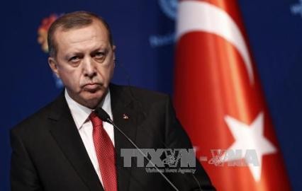 ＥＵ外相、トルコ批判相次ぐ　加盟交渉は継続へ - ảnh 1