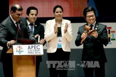 APEC加盟諸国、APEC2017に期待 - ảnh 1