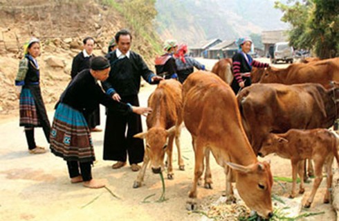 持続可能な貧困解消事業の総括会議 - ảnh 1