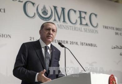 トルコのEU加盟交渉の凍結を、欧州議会が決議採択 - ảnh 1