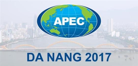 ダナン、APEC２０１７の準備作業を促進 - ảnh 1