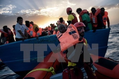 IOM、「渡航中に死亡した難民はおよそ７２００人に」 - ảnh 1