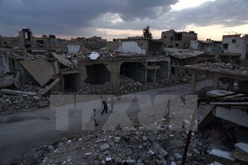 国連安保理、シリア停戦決議を採択 - ảnh 1