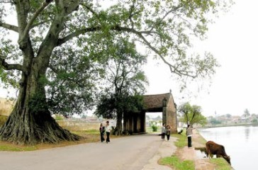 ベトナムの村、成りたちと存在 - ảnh 1