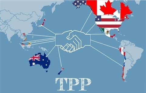 米国が加盟しないTPP - ảnh 1