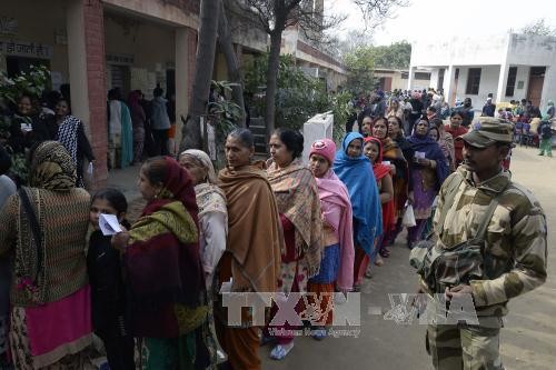 インド、地方選挙の投票始まる - ảnh 1