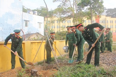 全国各地で、植樹活動が活発に - ảnh 1