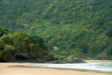 ベトナムのコンダオ島 世界で最も魅力的な島として選出 - ảnh 1