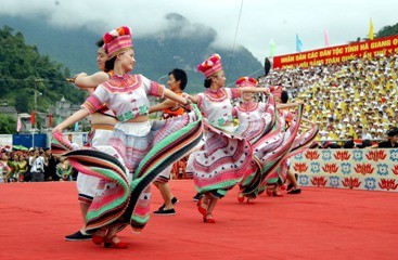 ベトナム各民族文化の日を祝う諸活動 - ảnh 1