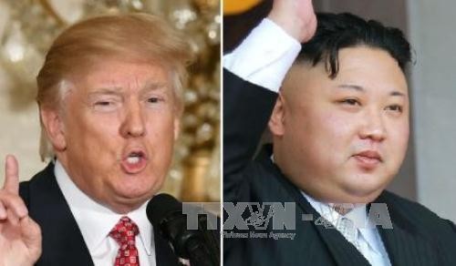 「条件が整えば米と対話」　米と接触の朝鮮高官 - ảnh 1