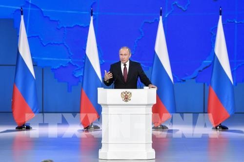 ロシア大統領の年次教書演説をめぐる問題 - ảnh 1