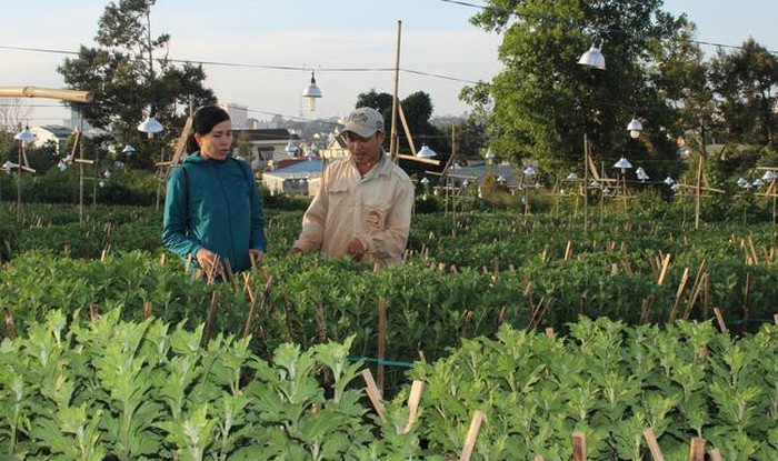 テト体制に入った花の栽培村 - ảnh 2