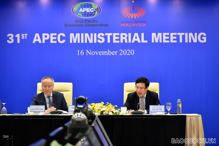 「2020年以降のAPECビジョン」APEC首脳宣言採択を支持 - ảnh 2