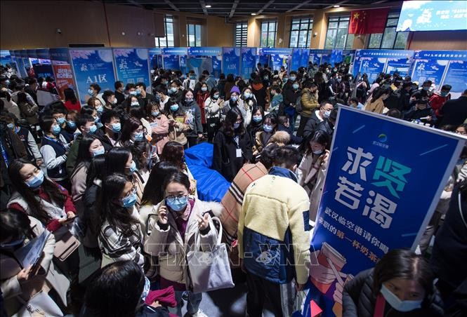 世界の総就労時間減 2億5500万人失業相当 “若者 女性対策を” - ảnh 1