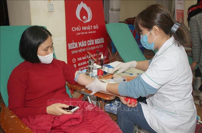 国民に献血運動への参加を呼び掛ける - ảnh 1