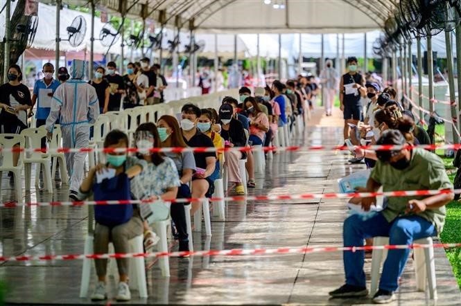 新型コロナウイルス、現在の感染者・死者数（11日午後7時時点） 死者330.6万人に - ảnh 1