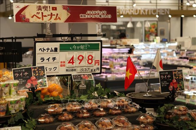 ベトナム産ライチ、イオン鹿児島店で販売 - ảnh 1