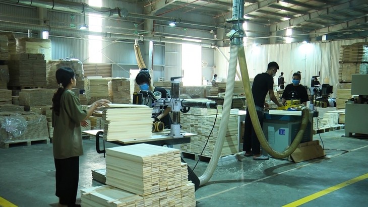 イエンバイ省における 経済的利益をもたらす持続可能な植林 - ảnh 2