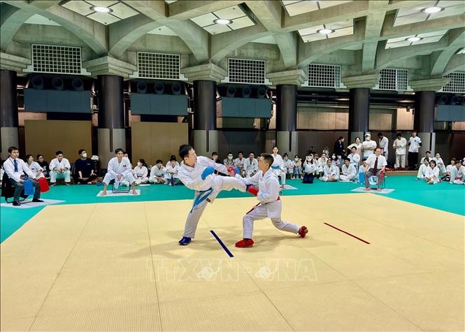 在日 ベトナム人の空手道選手権大会 - ảnh 1