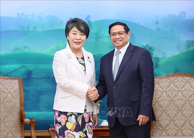 チン首相、上川外相と会見 - ảnh 1