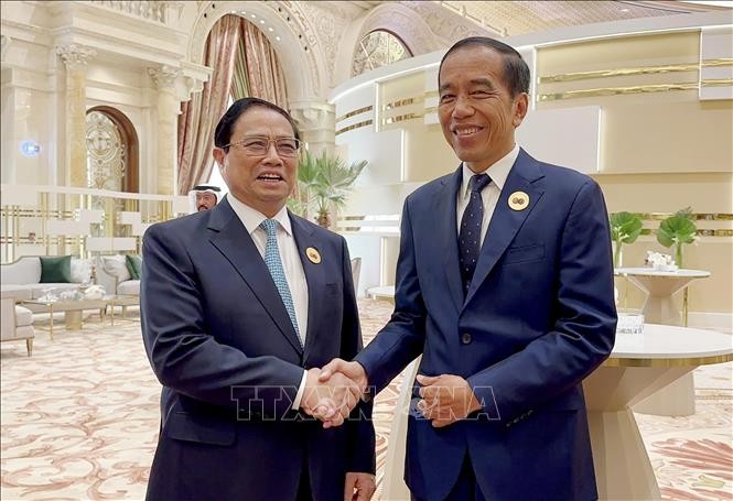 チン首相、ASEAN3か国の首脳と会見 - ảnh 1