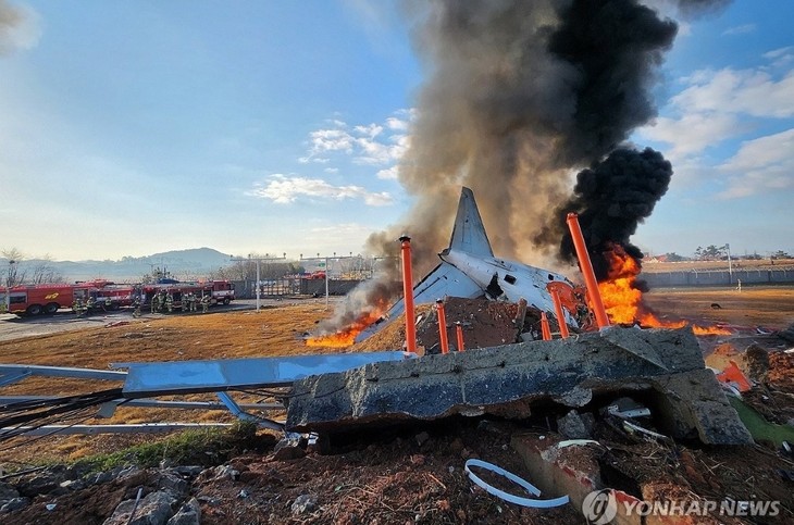 韓国 旅客機が炎上 47人の死亡確認 現地の消防 - ảnh 1