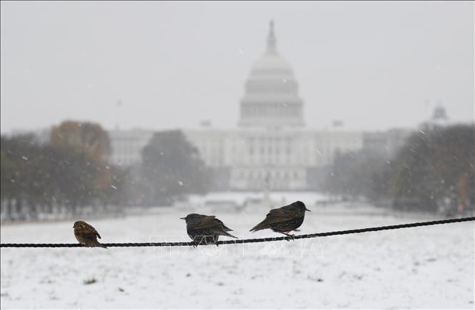 米大統領選の議会認証、吹雪でも予定通り6日に実施＝下院議長 - ảnh 1