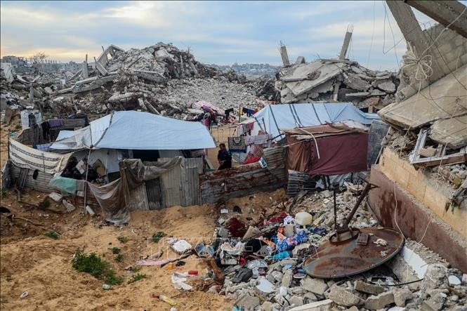 ガザ停戦交渉が本格化へ　米特使も仲介国カタール到着 - ảnh 1