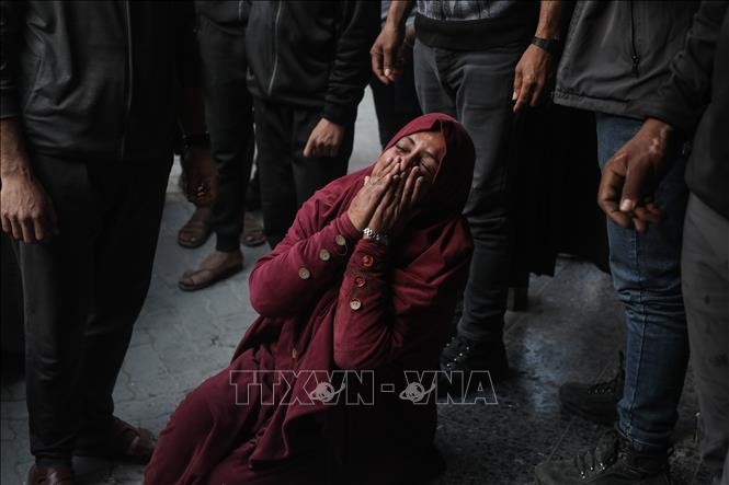 ガザ地区へ散発攻撃続く 停戦合意の継続めぐる協議へ影響懸念 - ảnh 1