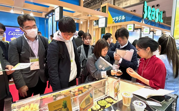 ベトナム農産物の日本、韓国市場への進出 - ảnh 2