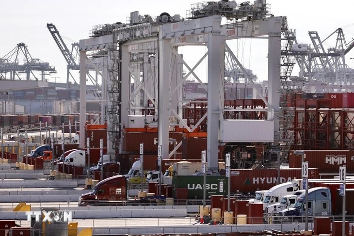 重要鉱物輸入、調査を命令　追加関税視野、関連製品も―米大統領 - ảnh 1