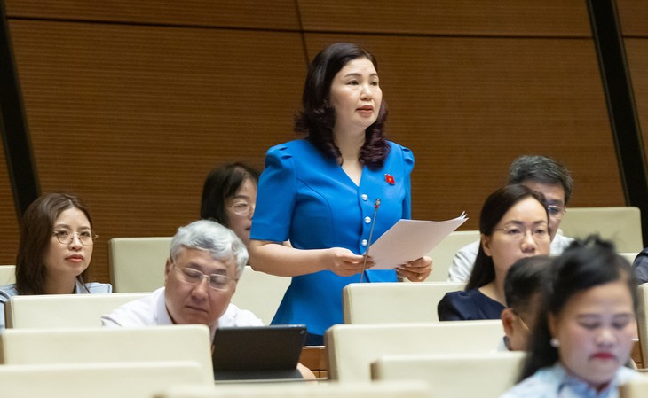 民間経済の「離陸」に向け、不適切な規制を撤廃へ - ảnh 2