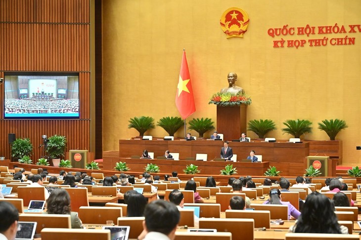 国会、企業法改正案を審議 - ảnh 1