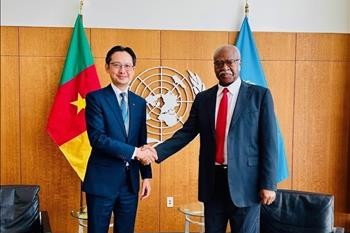 国連 多国間主義へのベトナムの立場とコミットメントを高く評価 - ảnh 1