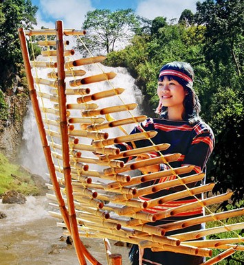 ベトナムの民謡楽器トルンを使った音楽 - ảnh 1