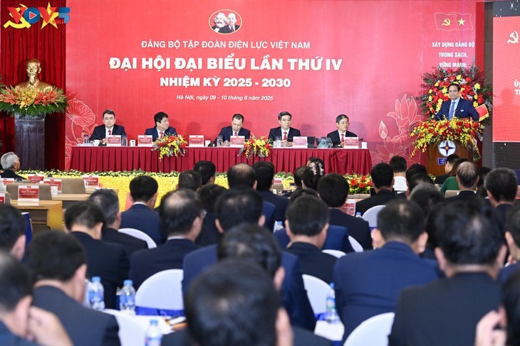 新時代における国家エネルギー安全の確保に向けた戦略的突破口   - ảnh 1