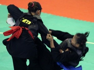 Cabang olahraga pencak silat di Vietnam - ảnh 1