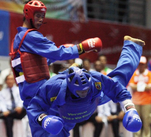 Silat Vovinam - silat Vietnam  - ảnh 1