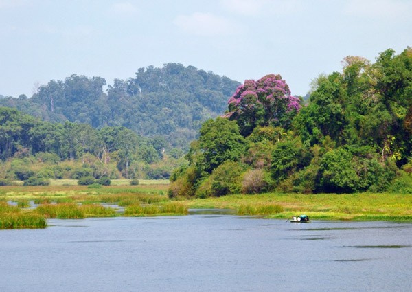 Zona cadangan biosfer  Dong Nai - Mutiara bernilai pemberian  alam - ảnh 2