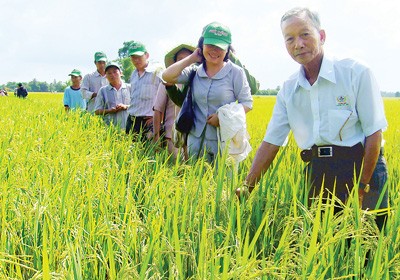 Provinsi An Giang membangun secara sukses 