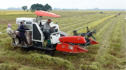 Provinsi An Giang membangun secara sukses 