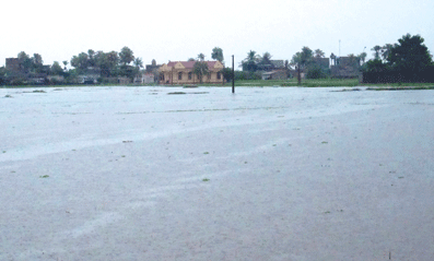 Penggelaran Keputusan tentang pemberian bantuan untuk menghadapi banjir di derah Trung Bo Utara dan daerah pantai Vietnam Tengah - ảnh 1