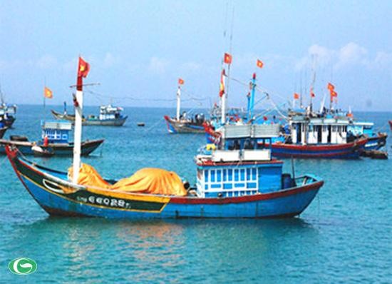 Provinsi Quang Tri mengembangkan tim kapal penangkap ikan di lapangan ikan kepulauan Hoang Sa (kepulauan Paracel) - ảnh 1