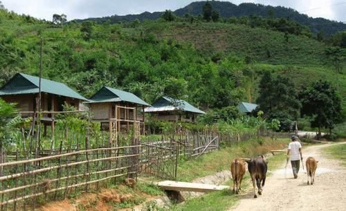 Berwisata sambil melakukan  amal. - ảnh 2