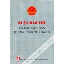 Ketentuan tentang aktivita informasi dan pers  dari pers asing,  kantor perwakilan asing dan organisasi asing di Vietnam - ảnh 1