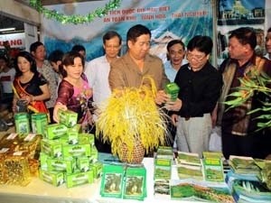 Vietnam dan Kampuchia memperkuat  kerjasama di semua bidang. - ảnh 1